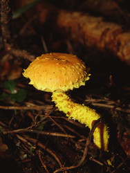 Similar image 22281928