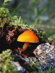 Similar image 22282669