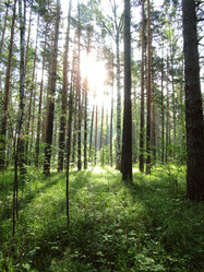 Similar image 22268899