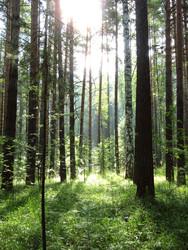 Similar image 22268900