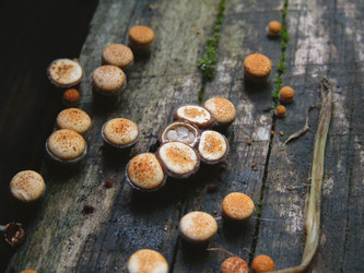 Similar image 22281274