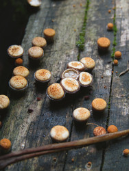 Similar image 22281275