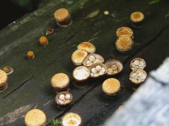 Similar image 22281276