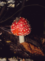 Similar image 22281929