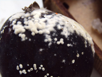 Similar image 22282671