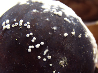 Similar image 22282672