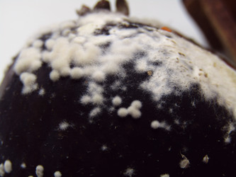 Similar image 22282996