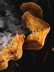 Similar image 22281277