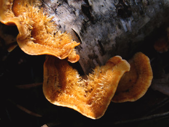 Similar image 22281278