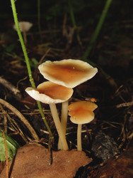 Similar image 22282997