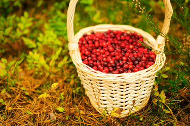 Similar image 22285482