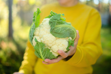 Similar image 22285483