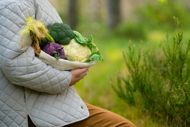 Similar image 22285484