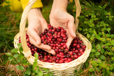 Similar image 22285485