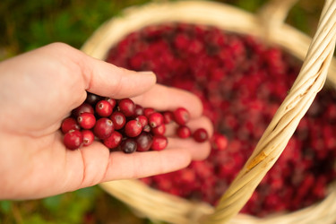 Similar image 22285486