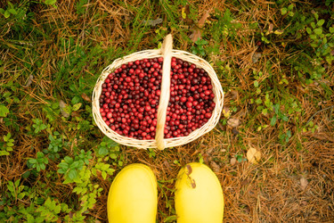 Similar image 22285487