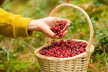 Similar image 22285488