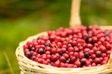 Similar image 22285490