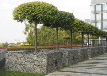 Similar image 22268600