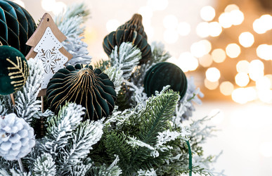 Similar image 22270961