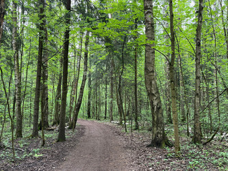 Similar image 22273086