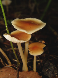 Similar image 22282673