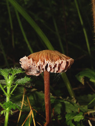 Similar image 22281930