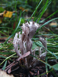 Similar image 22282674