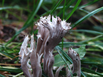 Similar image 22282675