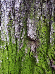 Similar image 22268926