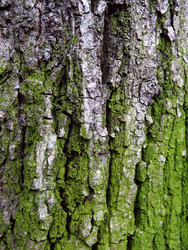 Similar image 22268927