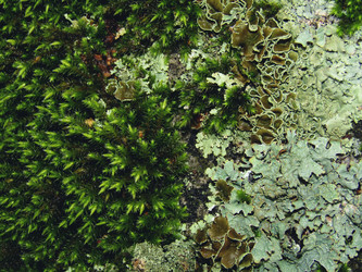 Similar image 22268928