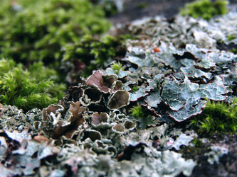 Similar image 22268929