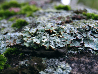 Similar image 22268930