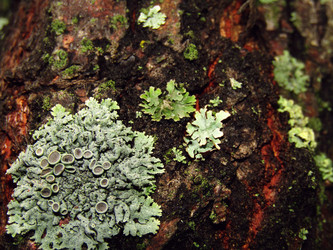 Similar image 22268932