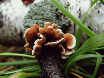 Similar image 22281281