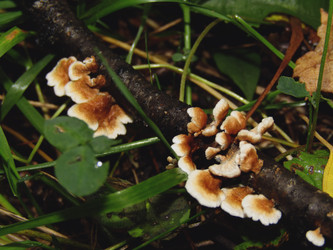 Similar image 22281282