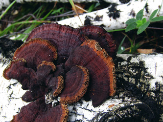 Similar image 22281283