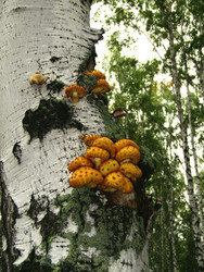 Similar image 22281931