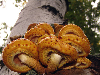 Similar image 22281932