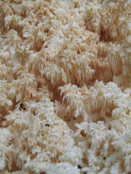 Similar image 22268933