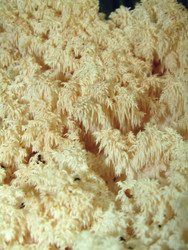 Similar image 22268934