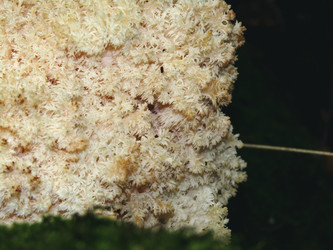 Similar image 22268937