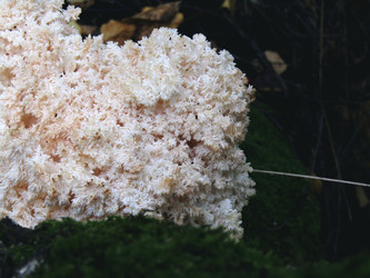 Similar image 22268938