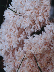 Similar image 22268939