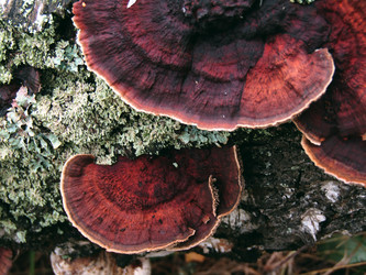 Similar image 22281285