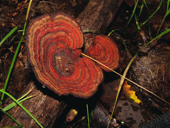 Similar image 22281287