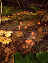 Similar image 22281289