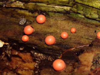 Similar image 22281290