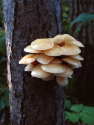 Similar image 22282998